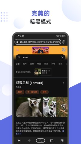lemur狐猴浏览器安卓版截屏3