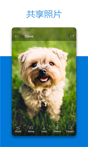 OneDrive手机版截屏1