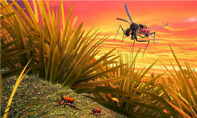 蚊子模拟器3D安卓版截屏3