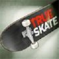 True Skate手机版