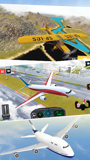 模拟真实飞机飞行安卓版截屏3