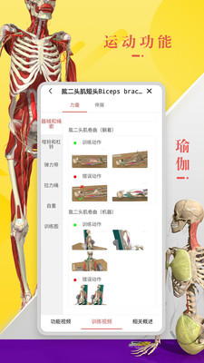 3dbody解剖学安卓版截屏2